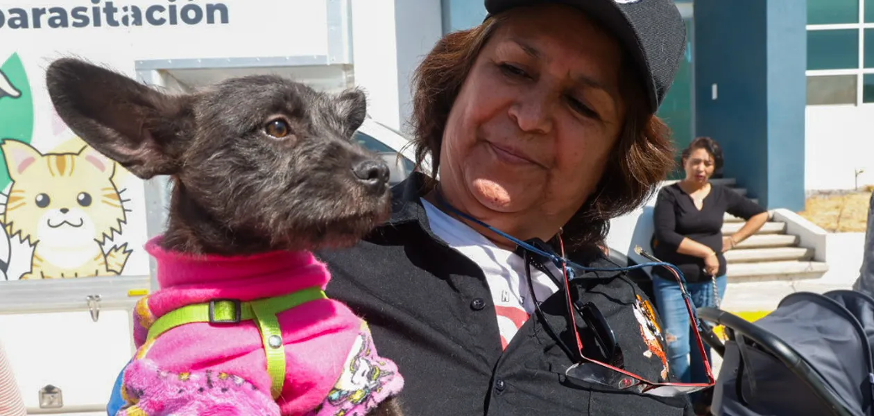 Realizan megajornada de esterilización para lomitos