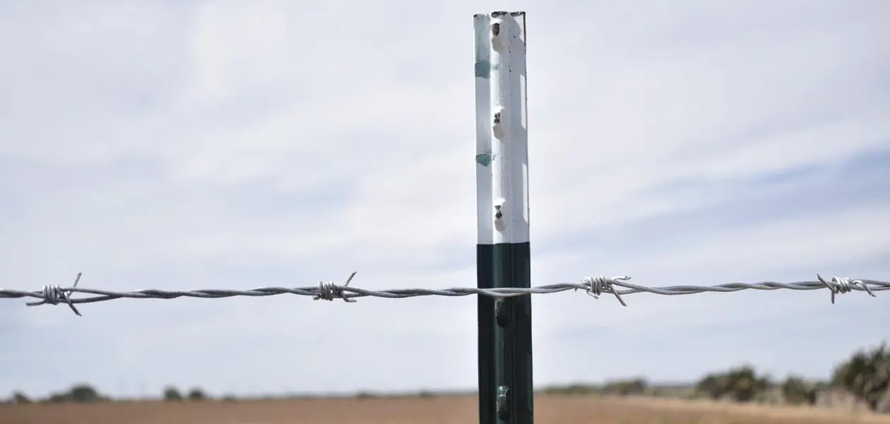 SEDRAE da inicio a la convocatoria ‘Apoyo a la Palabra para Productores Temporales del Estado’