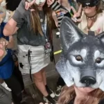 Ser o no ser un Therian, el tema de hoy en México