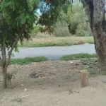 Polución del Río San Pedro afecta a la ciudadanía, ambientalistas 3