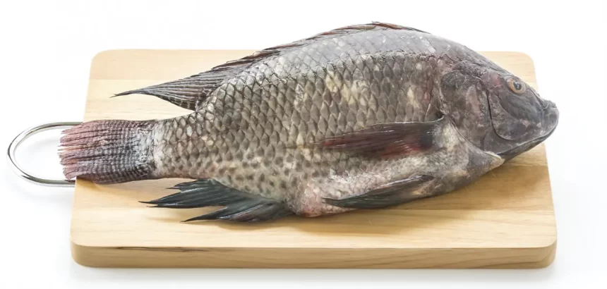 Por desabasto de tilapia se encarece su precio