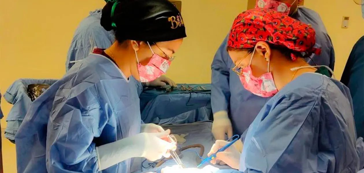 Seguro Social logra récord de donaciones multiorgánicas