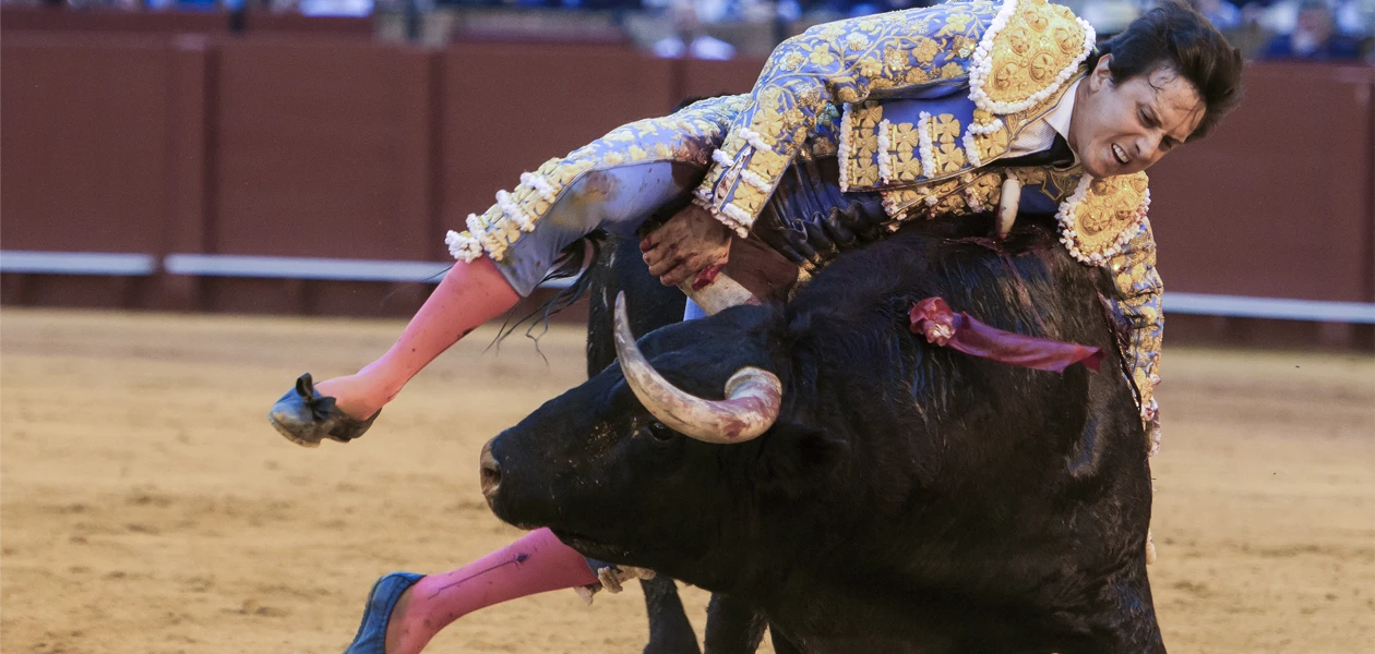 "Andrés ha puesto en valor, el mérito de los toreros"