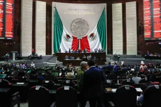 En plena discusión del Plan B, captan a morenista viendo box en su celular 1