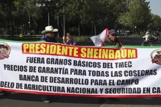 El país pasará hambre, amenazan campesinos con impedir el Mundial si no eliminan granos básicos del T-MEC