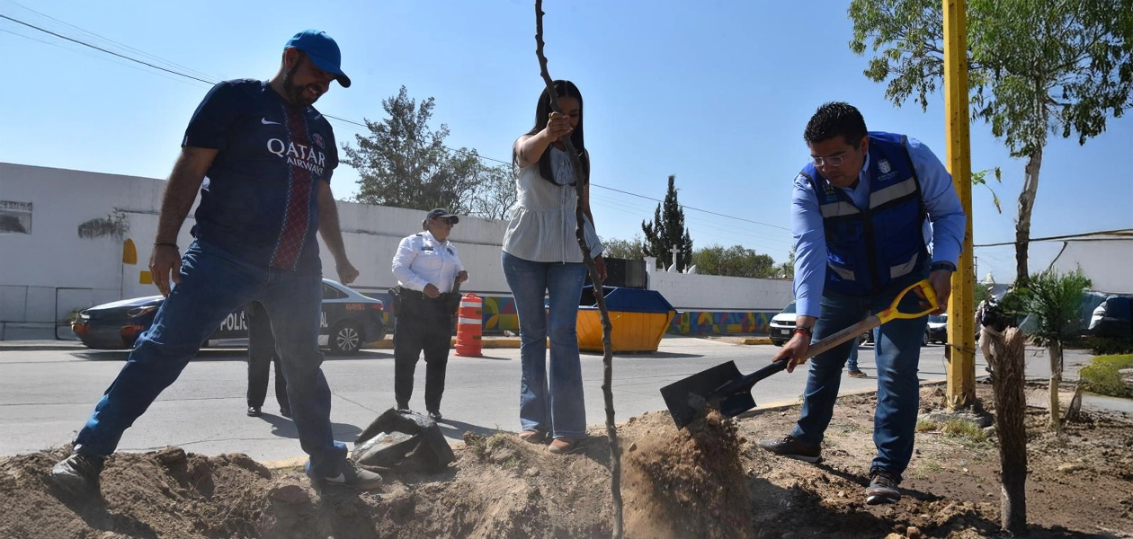 Intensifican esquema de reforestación en Jesús María