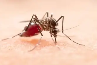 Dengue está de regreso en Aguascalientes: detectan casos en dos menores de edad