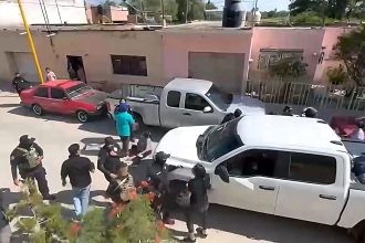 Autoridades federales desmembraron célula de grupo delictivo que operaba en Aguascalientes y Zacatecas