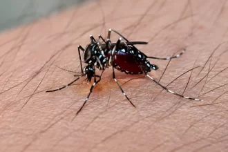 Amenaza con expandirse el dengue; suman 3 casos confirmados por el ISSEA