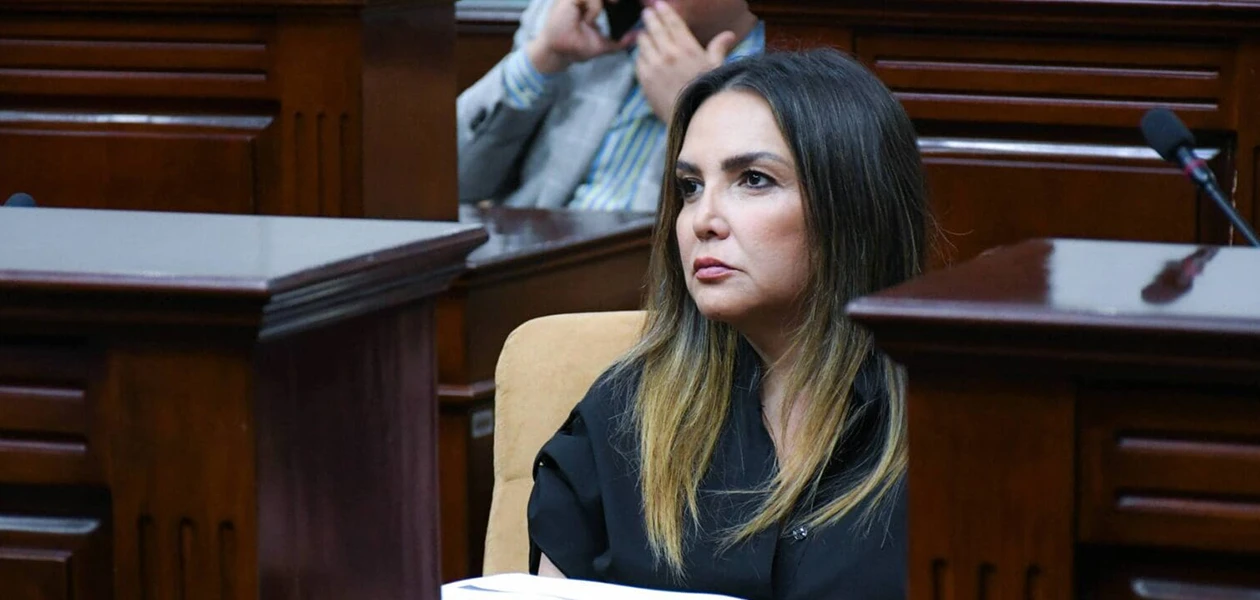 Aprueban 'Ley Antichismes'