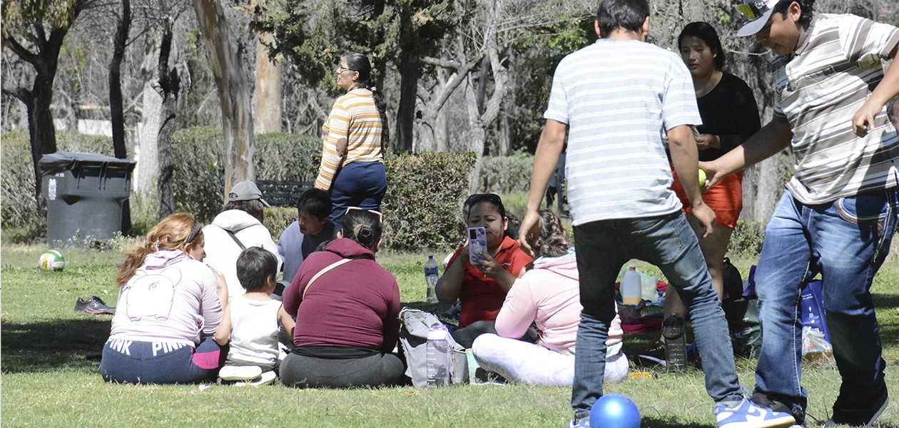Áreas verdes lucen marchitas por ola de calor, pese a riesgo constante