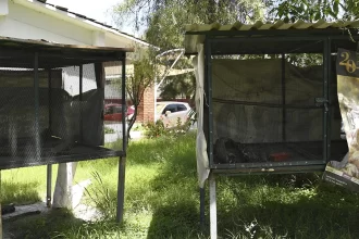 Clausuran rancho Delustone tras ataque de jaguar a un menor y la fuga de un animal