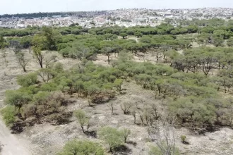 Cuidar La Pona costará más al Municipio: proyectan más personal y vigilancia