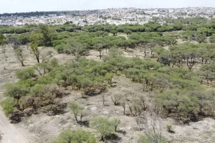 Cuidar La Pona costará más al Municipio: proyectan más personal y vigilancia