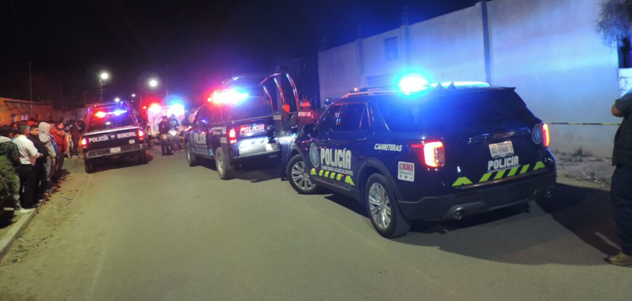 Dos malosos iban en un camionetón y al ser detenidos les hallaron dos rifles AR-15