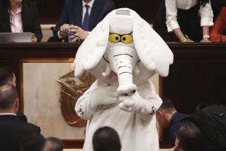 Elefante blanco al Congreso
