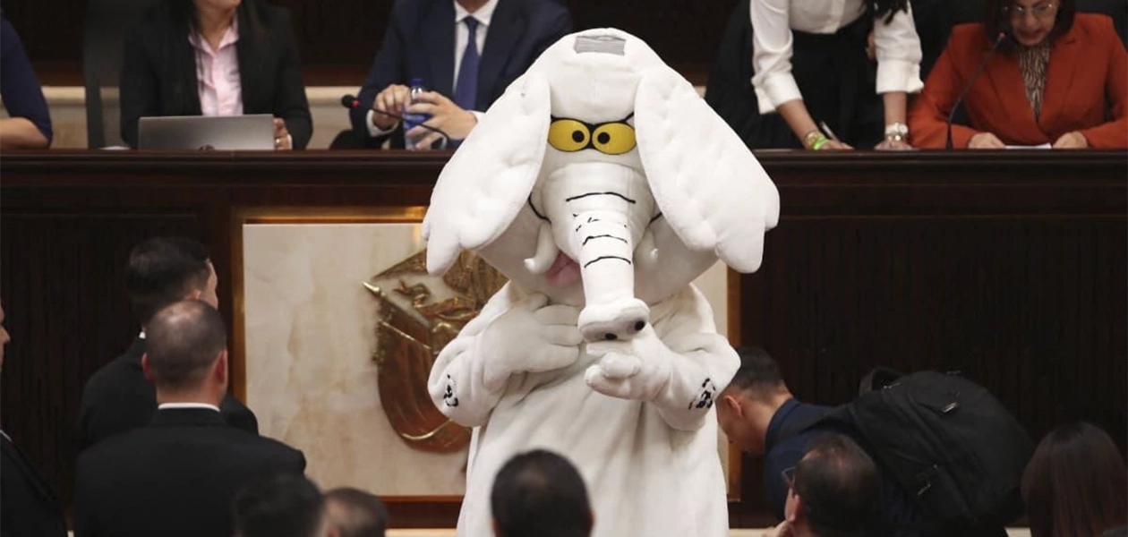 Elefante blanco al Congreso