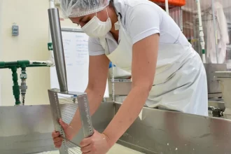 Empresa Goaty lleva leche de cabra del campo hidrocálido a todo el mundo