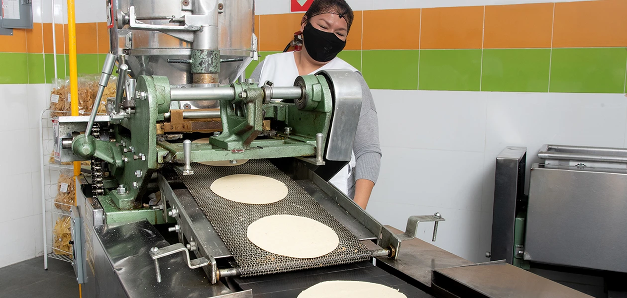 Empresarios de la masa y la tortilla secundan a Genny y piden regularizar negocios del sector