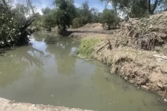 Estrategia de limpieza en el Río San Pedro da resultados