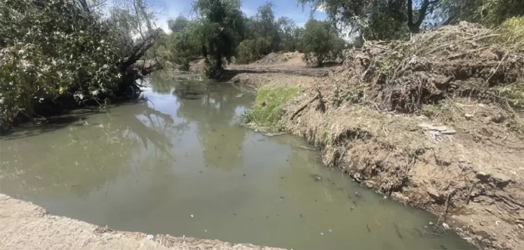 Estrategia de limpieza en el Río San Pedro da resultados