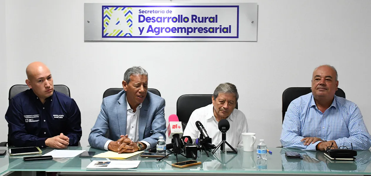 Gusano barrenador en Aguascalientes: Autoridades refuerzan control ante 6 casos confirmados