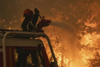 Incendios forestales arrasan España y Francia