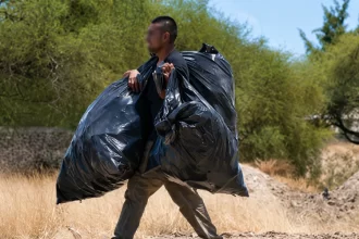 Indigentes, los más vulnerables al gusano barrenador