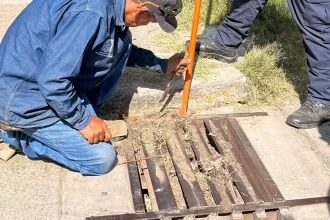 Intensifica Municipio limpieza de caimanes