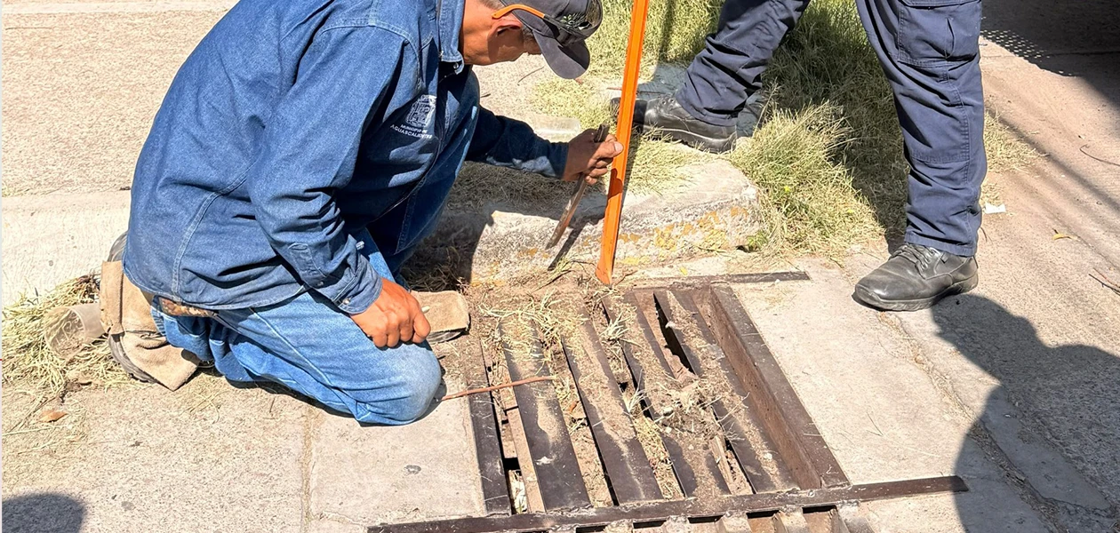 Intensifica Municipio limpieza de caimanes
