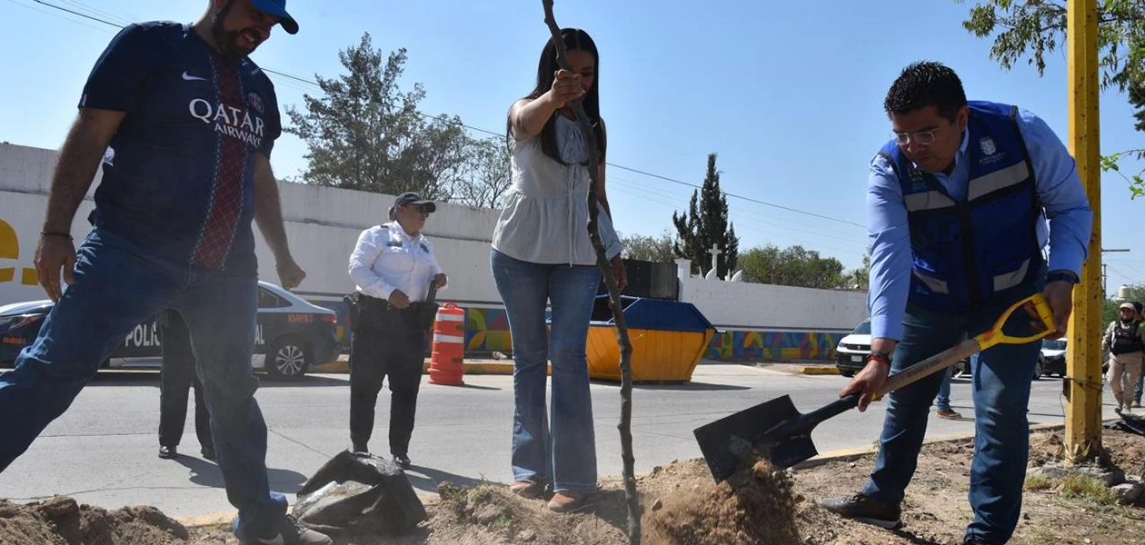 Intensifican esquema de reforestación en JM