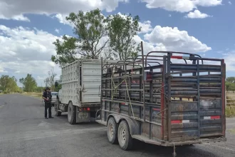 Jesús María intensifica lucha contra el abigeato y refuerza seguridad