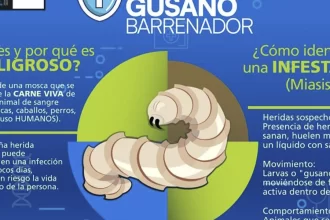 Jesús María refuerza acciones contra el parásito