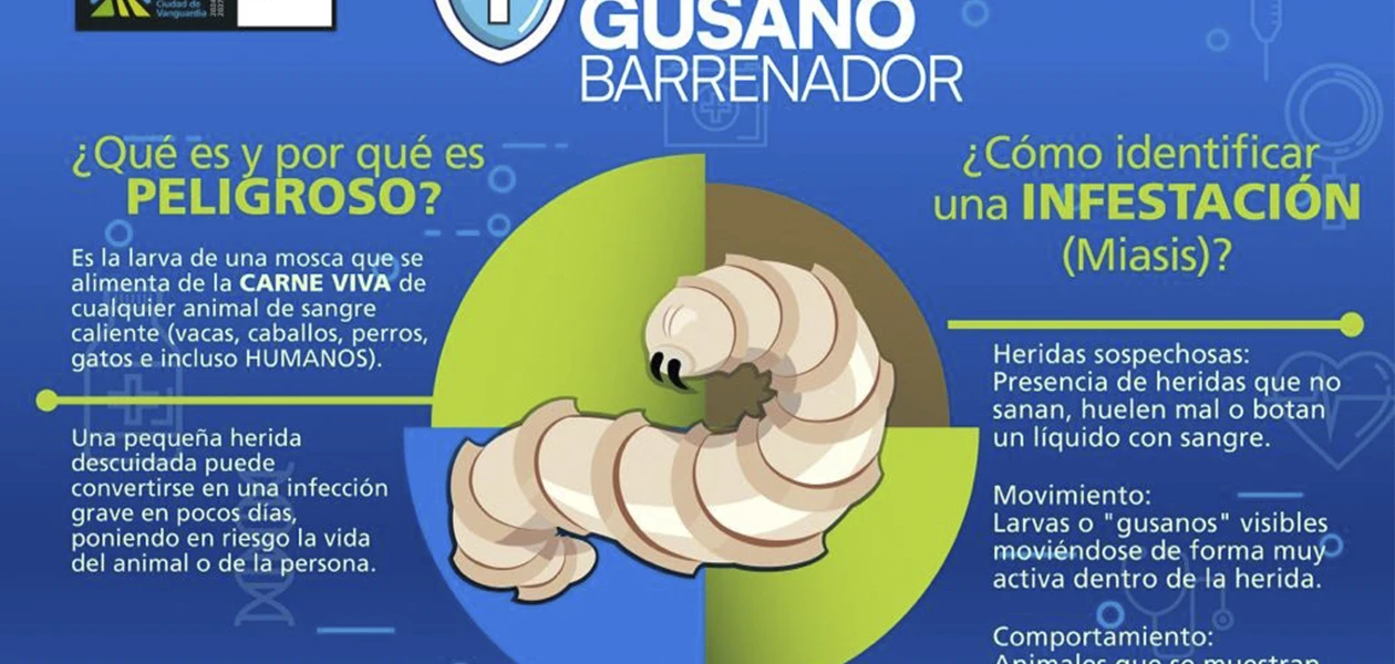 Jesús María refuerza acciones contra el parásito