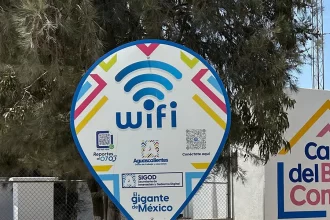 Lidera el Estado en el uso del internet