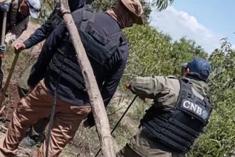 Madres buscadoras en Aguascalientes denuncian falta de empatía del Gobierno de México