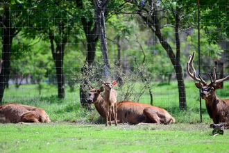 Nuevos inquilinos en el Parque Landeros