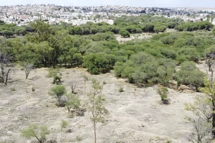Piden activistas que La Pona no se use como trampolín político