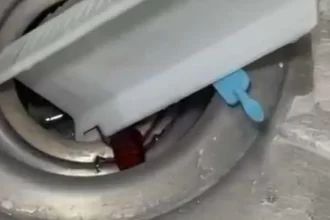 Plaga en quirófanos del IMSS en Aguascalientes pone en riesgo la salud