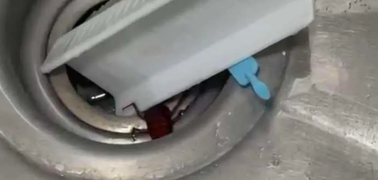 Plaga en quirófanos del IMSS en Aguascalientes pone en riesgo la salud