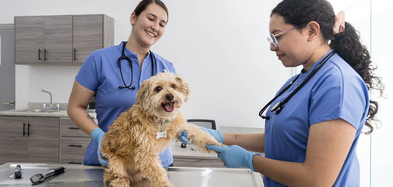 Promueve Leo la salud reproductiva de mascotas