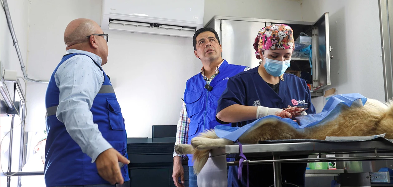 Promueve Leo la salud reproductiva de mascotas
