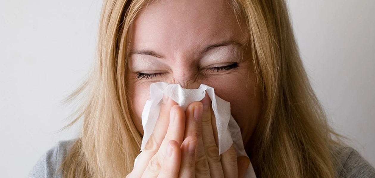 Se van influenza y covid-19... por el momento