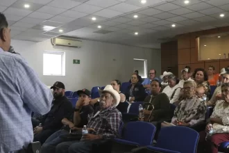 Sedrae refuerza lucha contra gusano barrenador en Aguascalientes