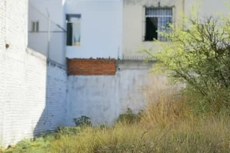 Van contra dueños de lotes abandonados