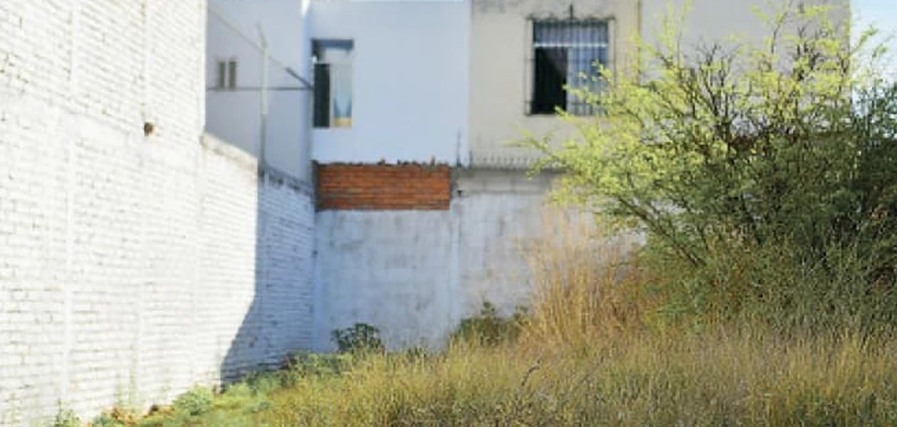 Van contra dueños de lotes abandonados