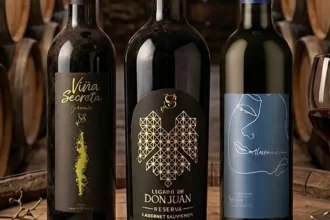 Vinos de Aguascalientes brillan en la edición 2026 de la WineMad