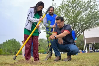 Arborización en parque Villa Sur