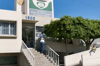 Banco de Ojos devuelve vista y vida a miles de pacientes