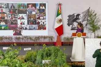 Convoca TJ a Jornada Nacional de Reforestación en la Entidad